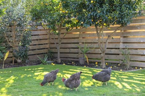 Photo of property in 16 Ranginui Road, Welcome Bay, Tauranga, 3112