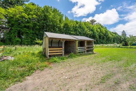 Photo of property in 991 Temuka-orari Highway, Orari, Geraldine, 7992