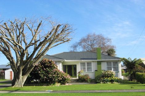 Photo of property in 115 Bartholomew Road, Levin, 5510