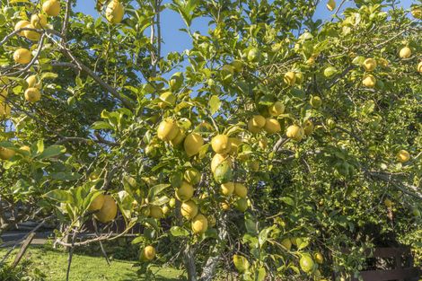 Photo of property in 73 Seymour Place, Bellevue, Tauranga, 3110