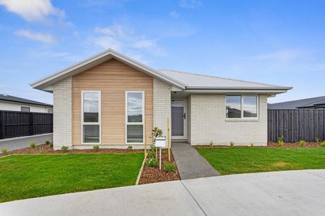 Photo of property in 29 Longfields Road, Lincoln, 7608