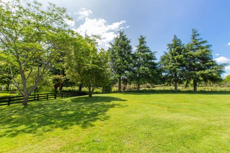 Photo of property in 29 Birchwood Lane, Tamahere, Hamilton, 3283