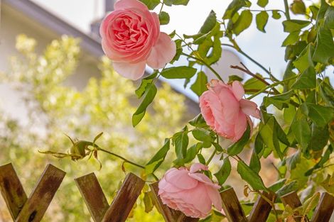 Photo of property in 20 Third Street, Lansdowne, Masterton, 5810