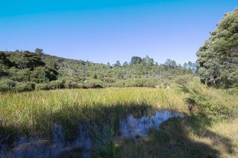 Photo of property in 50f Paul Road, Whenuakite, Whitianga, 3591