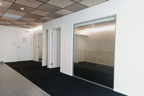 Photo of property in Te Kainga, 195 Willis Street, Te Aro, Wellington, 6011