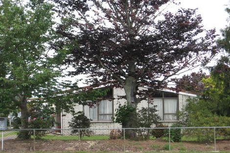 Photo of property in 85 Nelson Street, Opotiki, 3122