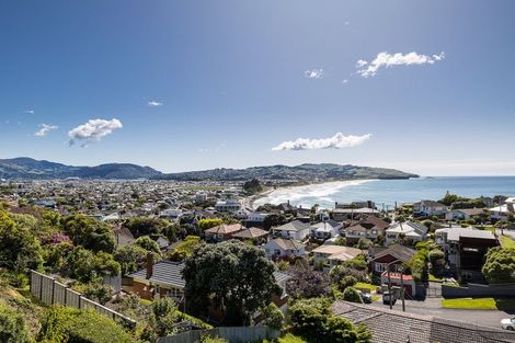 Photo of property in 54 Cliffs Road, Saint Clair, Dunedin, 9012