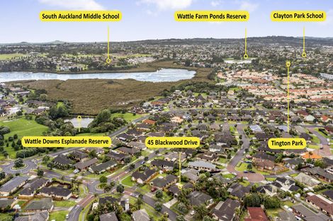 Photo of property in 45 Blackwood Drive, Wattle Downs, Auckland, 2103