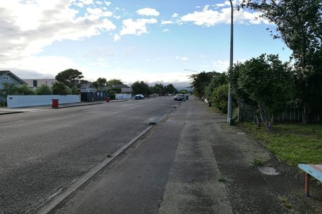 Photo of property in 20 Lyndhurst Street, Takaro, Palmerston North, 4412