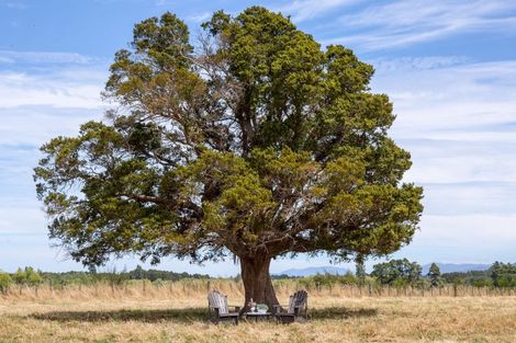 Photo of property in 607 Matarawa Road, Dalefield, Carterton, 5791