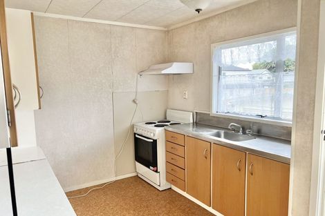 Photo of property in 21 Tudor Road, Henderson, Auckland, 0610