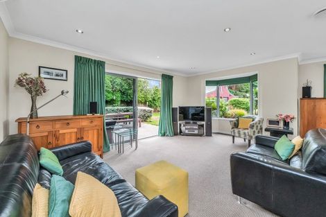 Photo of property in 39 Taumutu Road, Southbridge, 7602