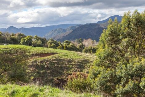 Photo of property in 78 Packtrack Road, Thames, 3577