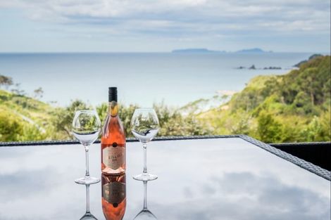 Photo of property in 64 Onekainga Rise, Whananaki, Hikurangi, 0181