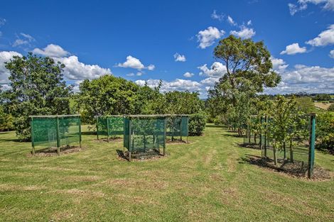 Photo of property in 21 Magnolia Tree Lane, Kerikeri, 0294