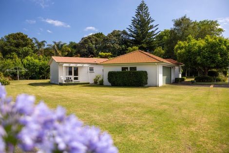 Photo of property in 309 Plummers Point Road, Whakamarama, Tauranga, 3172