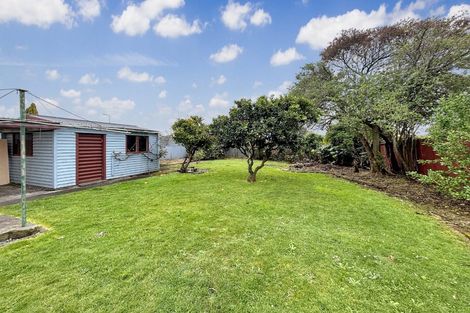 Photo of property in 17 Kitchener Street, Whanganui East, Whanganui, 4500