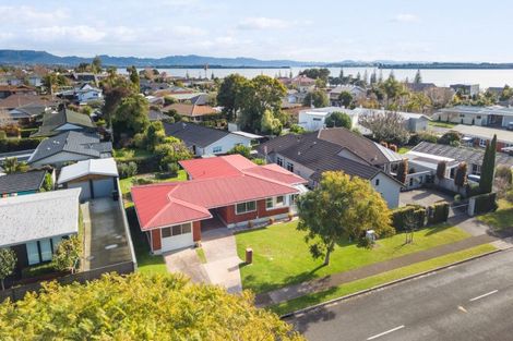 Photo of property in 22 Woods Avenue, Matua, Tauranga, 3110