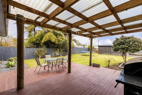 Photo of property in 146 Miranda Street, Stratford, 4332