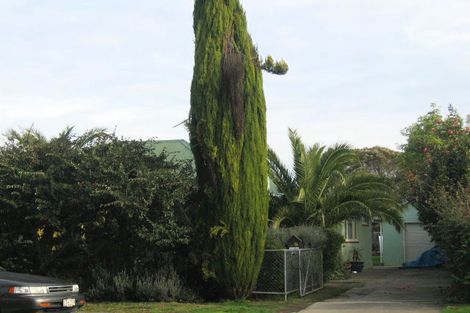 Photo of property in 1010 Frederick Street, Mahora, Hastings, 4120