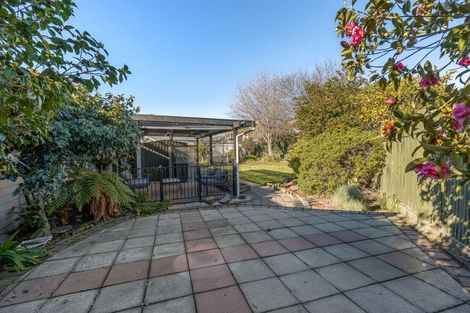 Photo of property in 7 Martin Terrace, Witherlea, Blenheim, 7201