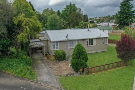 Photo of property in 157b Arapuni Street, Putaruru, 3411