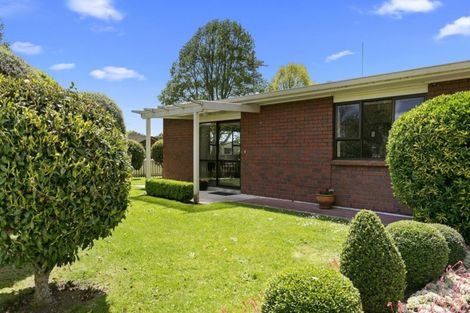 Photo of property in 41 Moore Street, Leamington, Cambridge, 3432