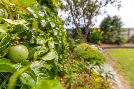 Photo of property in 55 Barrett Road, Whalers Gate, New Plymouth, 4310