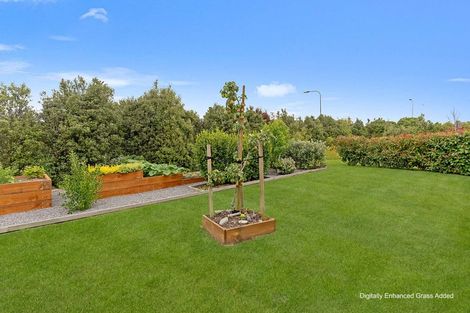 Photo of property in 2 Pukeko Way, Amberley, 7410