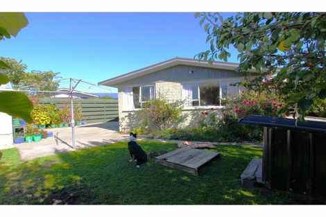 Photo of property in 21 Shirtliff Street, Riversdale, Blenheim, 7201