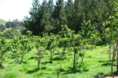 Photo of property in 4 Terrace Street, Matawai, 4075