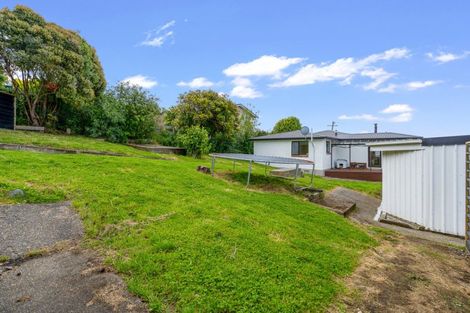 Photo of property in 38 Lagan Street, Bluff, 9814