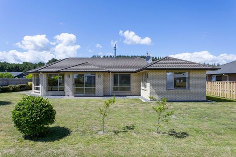 Photo of property in 176 Parekaawa Drive, Motuoapa, Turangi, 3382