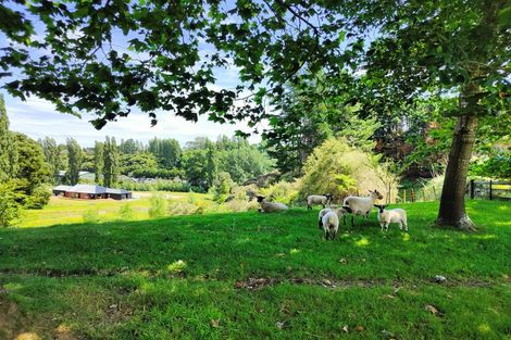 Photo of property in 47d Poplar Lane, Matangi, Hamilton, 3284