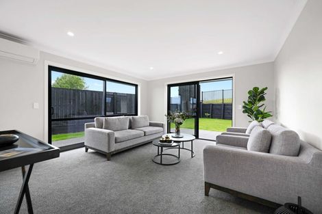 Photo of property in 3 Celeste Terrace, Peacocke, 3206