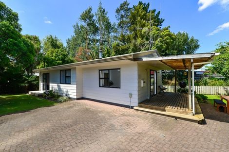 Photo of property in 147b Rimu Street, Maeroa, Hamilton, 3200