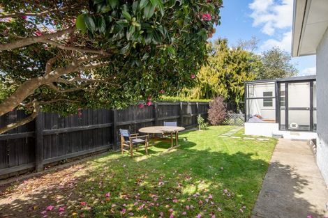 Photo of property in 29 Eltham Road, Blenheim, 7201