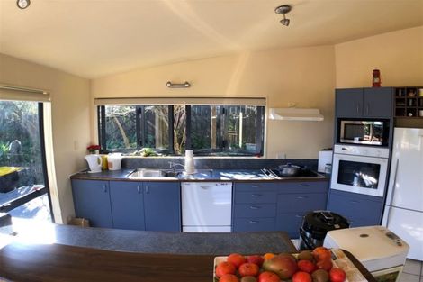 Photo of property in 219 Waikiekie Road, Thames, 3500