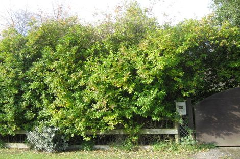 Photo of property in 23a Hereweka Street, Portobello, Dunedin, 9014