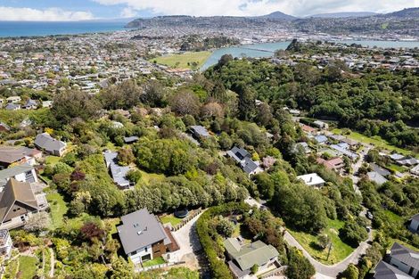 Photo of property in 3 Lauriston Street, Andersons Bay, Dunedin, 9013