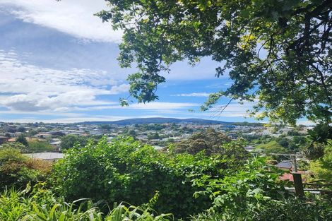 Photo of property in 50 Carson Street, Mornington, Dunedin, 9011