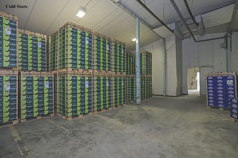 Photo of property in 11 Trig Road, Waihi, 3681