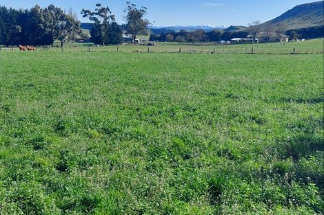 Photo of property in 201 Weston-ngapara Road, Whitstone, Oamaru, 9491