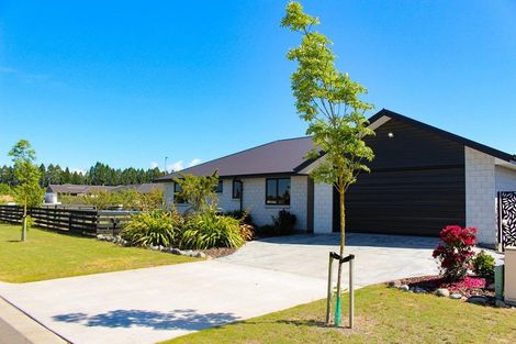 Photo of property in 1 Gleniffer Lane, Methven, 7730