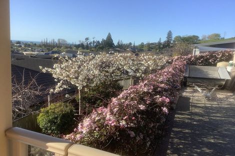 Photo of property in 6 Norfolk Place, Stoke, Nelson, 7011