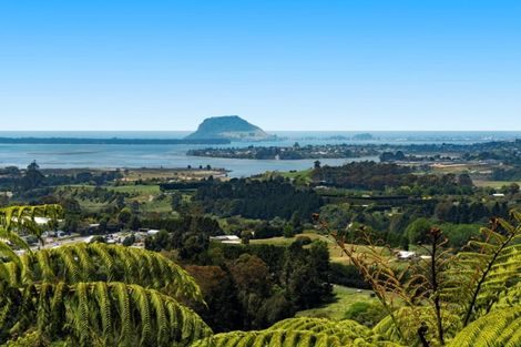 Photo of property in 213b Minden Road, Minden, Tauranga, 3176