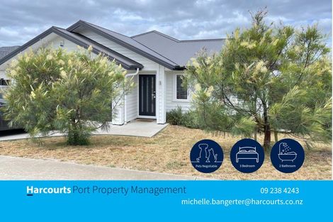 Photo of property in 3 Huamanu Street, Pukekohe, 2120