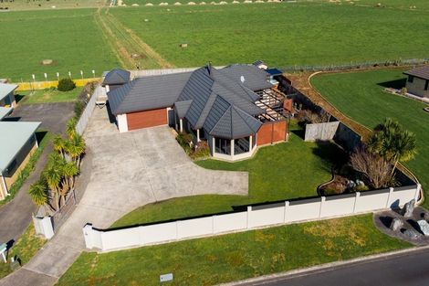 Photo of property in 16 Harris Place, Ngatea, 3503