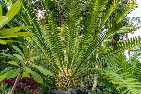 Photo of property in 656 One Tree Point Road, Ruakaka, Whangarei, 0171