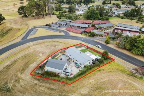 Photo of property in 10 Burke Place, Huntly, 3700